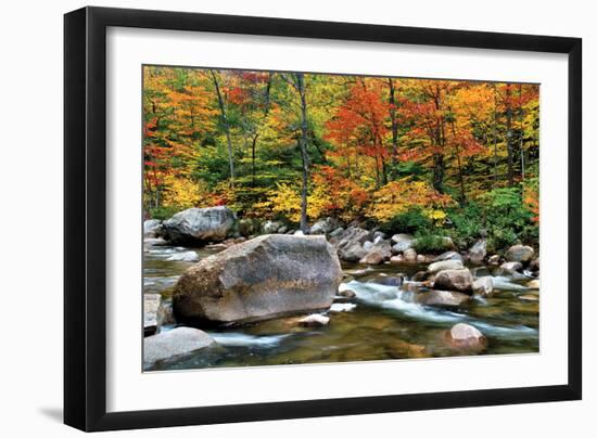 Swift River Pass Scenic-Larry Malvin-Framed Photographic Print