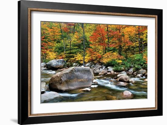 Swift River Pass Scenic-Larry Malvin-Framed Photographic Print