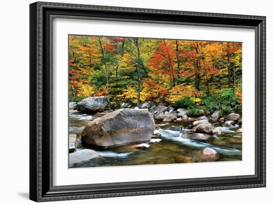 Swift River Pass Scenic-Larry Malvin-Framed Photographic Print