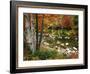 Swift River with Aspen and Maple Trees in the White Mountains, New Hampshire, USA-Darrell Gulin-Framed Photographic Print