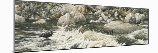 Swift Water-Jeff Tift-Mounted Giclee Print