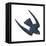 Swiftlet (Collocalia), Birds-Encyclopaedia Britannica-Framed Stretched Canvas