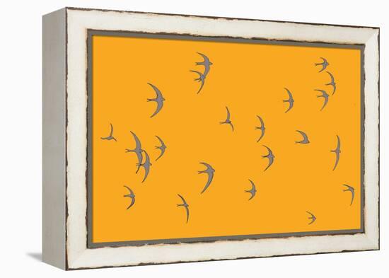 Swifts  2017  (digital)-Sarah Hough-Framed Premier Image Canvas