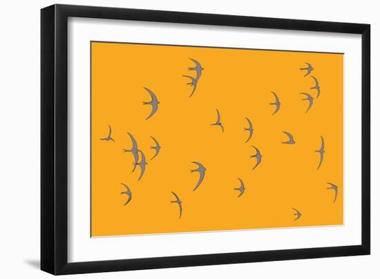 Swifts  2017  (digital)-Sarah Hough-Framed Giclee Print