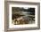 Swiftwater Covered Bridge, Bath, Newpshire-George Oze-Framed Photographic Print