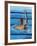 Swimmer Celebrating His Victory-null-Framed Photographic Print