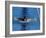 Swimmer Competing in a Butterfly Race-null-Framed Photographic Print