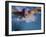 Swimmer in Goggles and Purple Swim Cap-null-Framed Photographic Print