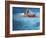 Swimmer in Red Suit-null-Framed Photographic Print