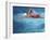 Swimmer in Red Suit-null-Framed Photographic Print