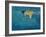 Swimmer in Yellow, 1990-Gareth Lloyd Ball-Framed Giclee Print