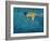 Swimmer in Yellow, 1990-Gareth Lloyd Ball-Framed Giclee Print