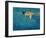 Swimmer in Yellow, 1990-Gareth Lloyd Ball-Framed Giclee Print