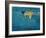 Swimmer in Yellow, 1990-Gareth Lloyd Ball-Framed Giclee Print