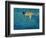 Swimmer in Yellow, 1990-Gareth Lloyd Ball-Framed Giclee Print