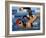 Swimmers Competing in a Race-null-Framed Photographic Print