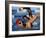 Swimmers Competing in a Race-null-Framed Photographic Print