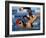 Swimmers Competing in a Race-null-Framed Photographic Print