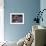 Swimmers Diving to Start a Race at Summer Olympics-null-Framed Photographic Print displayed on a wall