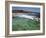 Swimmers Do Laps at Ocean Filled Pools Flanking the Sea at Sydney's Bronte Beach, Australia-Andrew Watson-Framed Photographic Print