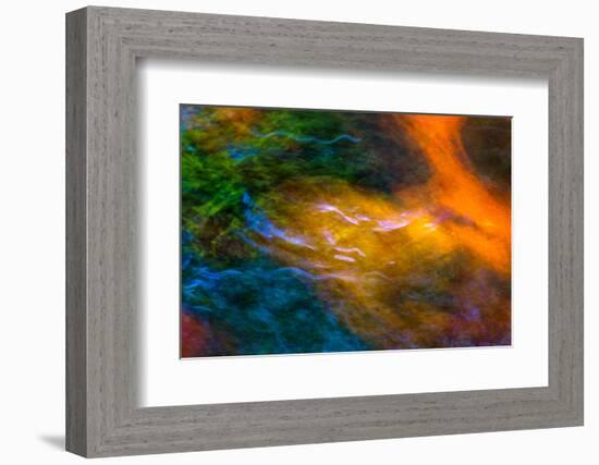 Swimming Against the Tide-Doug Chinnery-Framed Photographic Print