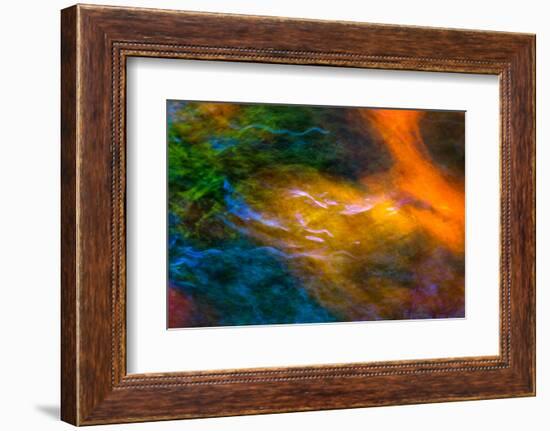 Swimming Against the Tide-Doug Chinnery-Framed Photographic Print