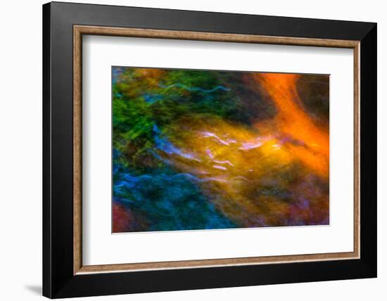 Swimming Against the Tide-Doug Chinnery-Framed Photographic Print