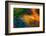 Swimming Against the Tide-Doug Chinnery-Framed Photographic Print