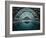 Swimming at Night-Renate Reichert-Framed Photographic Print