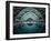 Swimming at Night-Renate Reichert-Framed Photographic Print