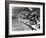 Swimming Competition at Berlin Olympic Games in 1936 : Here Swimmers Diving in Swimmming Pool-null-Framed Photo