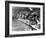 Swimming Competition at Berlin Olympic Games in 1936 : Here Swimmers Diving in Swimmming Pool-null-Framed Photo