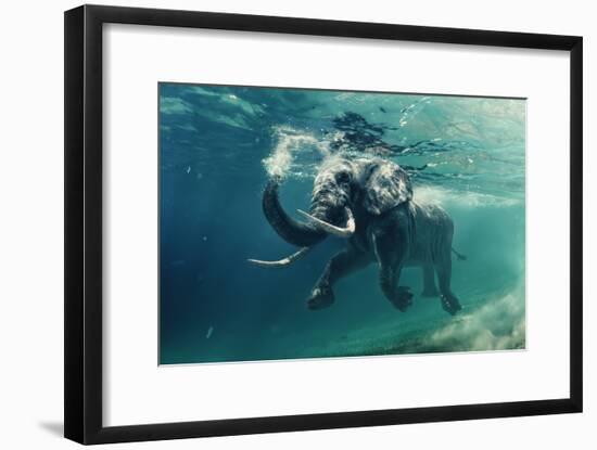 Swimming Elephant Underwater. African Elephant in Ocean with Mirrors and Ripples at Water Surface.-Willyam Bradberry-Framed Photographic Print