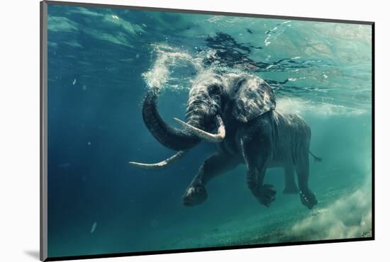 Swimming Elephant Underwater. African Elephant in Ocean with Mirrors and Ripples at Water Surface.-Willyam Bradberry-Mounted Photographic Print