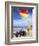 Swimming Flag and Patrolling Lifeguard at Bondi Beach, Sydney, New South Wales, Australia-Robert Francis-Framed Photographic Print