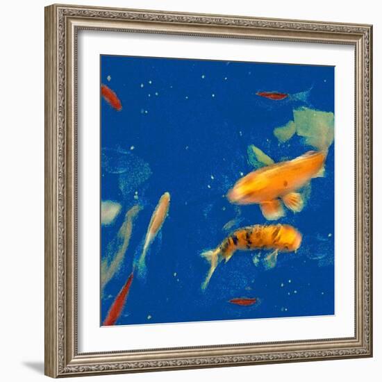 Swimming Lessons I-Alicia Ludwig-Framed Art Print