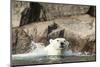 Swimming Polar Bear, Hudson Bay, Nunavut, Canada-Paul Souders-Mounted Photographic Print