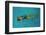 Swimming-Andr? Burian-Framed Photographic Print