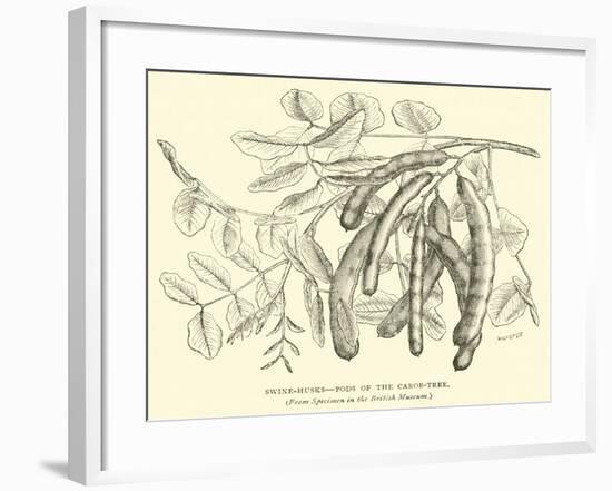 Swine-Husks, Pods of the Carob-Tree-null-Framed Giclee Print