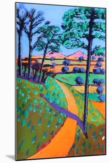 Swineyard Hill, 2021 (acrylic on paper)-Paul Powis-Mounted Giclee Print