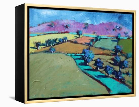 Swineyard Hill (acrylic on canvas, 2021)-Paul Powis-Framed Premier Image Canvas