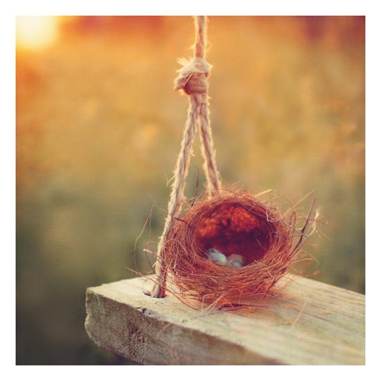 Swing And Nest Art Print By Mandy Lynne