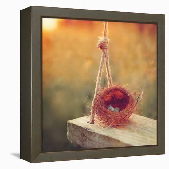 Swing and Nest-Mandy Lynne-Framed Stretched Canvas
