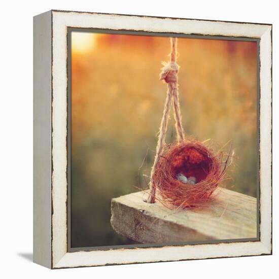 Swing and Nest-Mandy Lynne-Framed Stretched Canvas