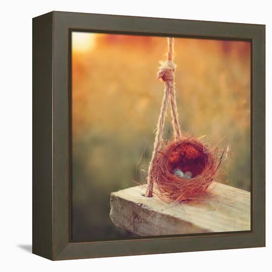 Swing and Nest-Mandy Lynne-Framed Stretched Canvas