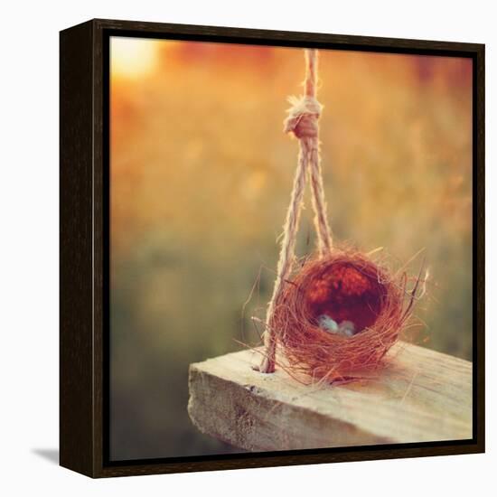 Swing and Nest-Mandy Lynne-Framed Stretched Canvas