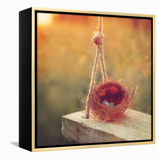 Swing and Nest-Mandy Lynne-Framed Stretched Canvas