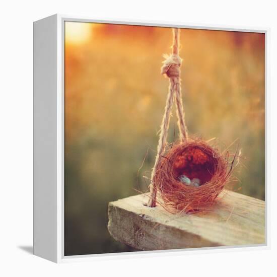 Swing and Nest-Mandy Lynne-Framed Stretched Canvas