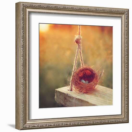 Swing and Nest-Mandy Lynne-Framed Art Print