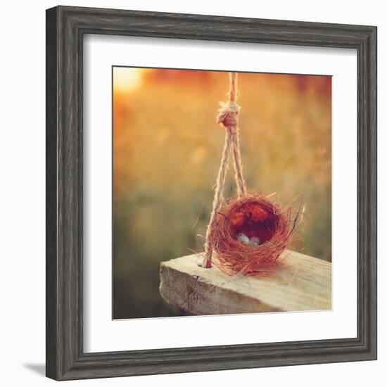 Swing and Nest-Mandy Lynne-Framed Art Print